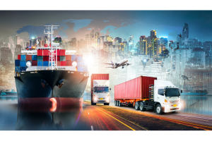 Logistics & Shipping Coordination - Seamless Import Management