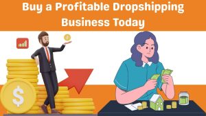 Buy a Profitable Dropshipping Business Today-Runtoagent