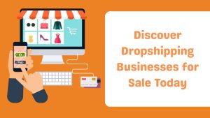 Discover Dropshipping Businesses for Sale Today-Runtoagent