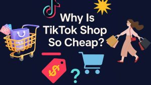 Main blog cover image with TikTok Shop logo, price tag icon, shopping cart and the question 'Why Is TikTok Shop So Cheap?' on a dark gradient background