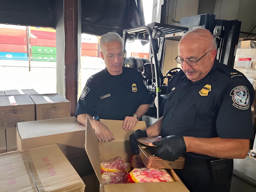 Two customs officers are inspecting a large box in a warehouse. One officer is wearing gloves and examining contents inside a metallic container, while the other looks on attentively. Behind them, various shipping containers are visible, indicating the shipping and logistics environment. Their expressions suggest focus and diligence in their duties of cargo inspection.